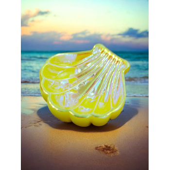 Colorful  Shell