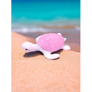 Mini Turtle