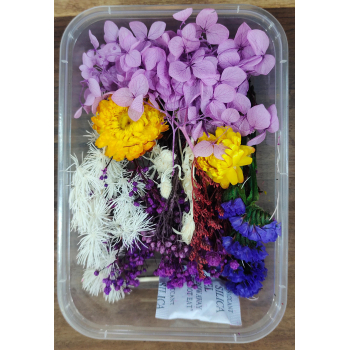 Flower Box_28