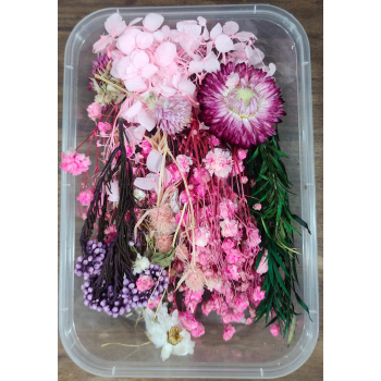 Flower Box_19