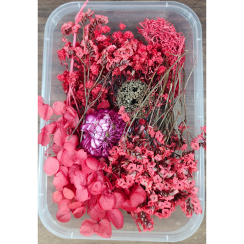 Flower Box_20