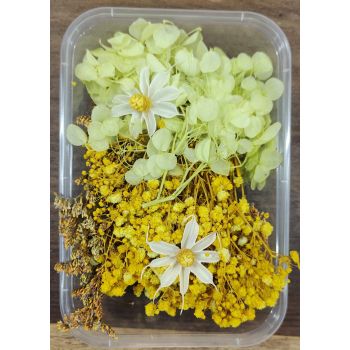Flower Box_21