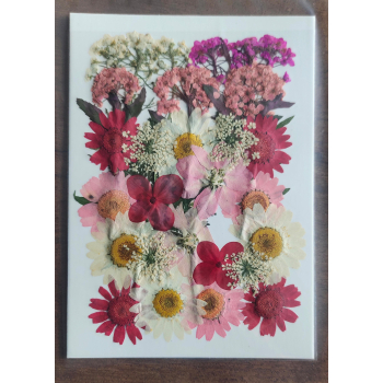 Pressed Flower _23