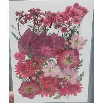 Pressed Flower _50