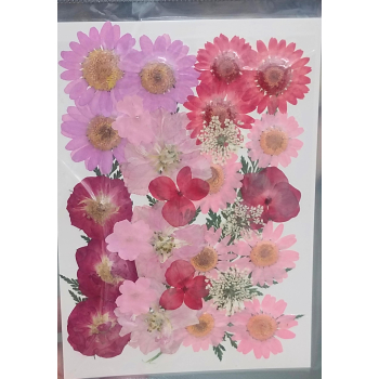 Pressed Flower _51