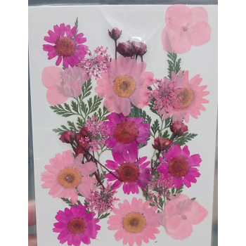 Pressed Flower _52