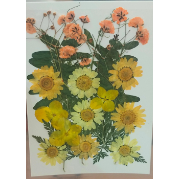 Pressed Flower _53