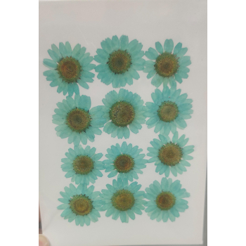 Pressed Flower _54