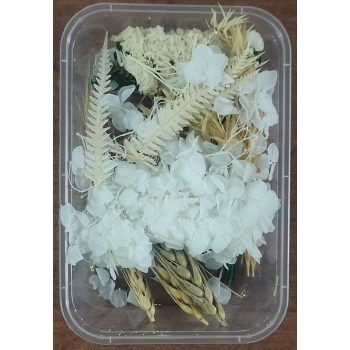 Flower Box_12
