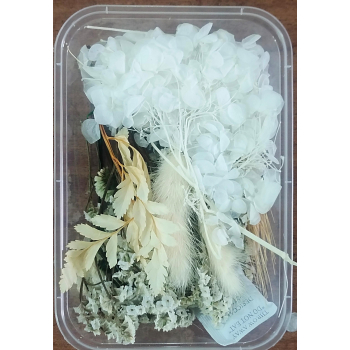 Flower Box_07