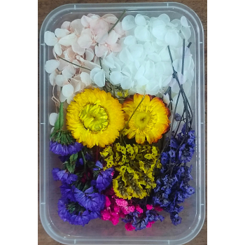 Flower Box_24
