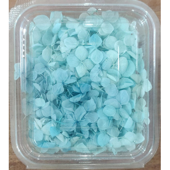 Hydera Box