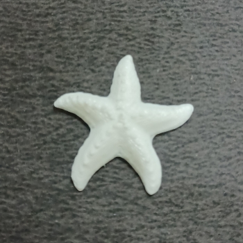 Star Fish - 2