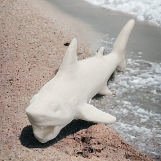 Shark with open Mouth