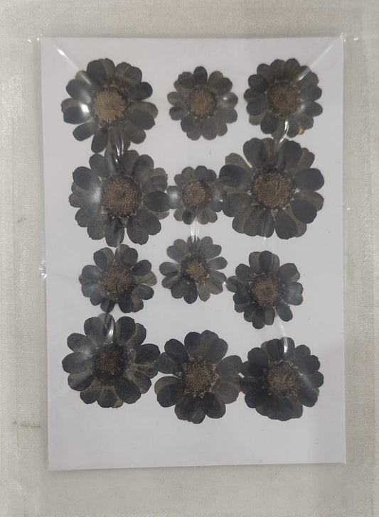 Pressed Flower _35