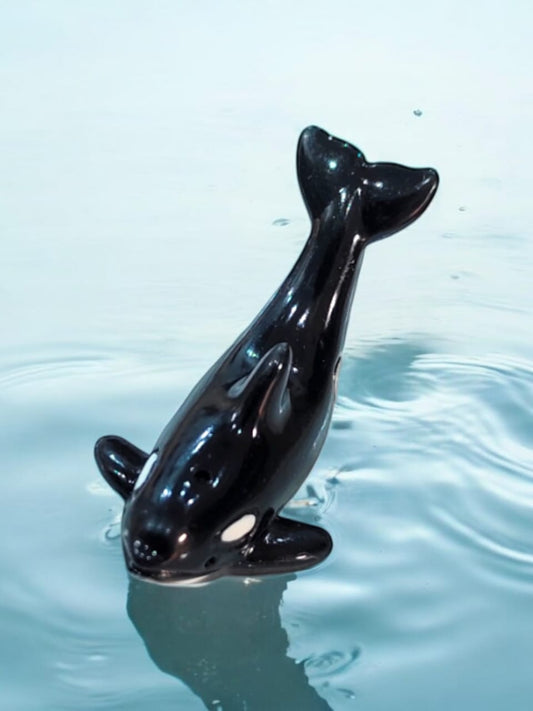 Orca whale small