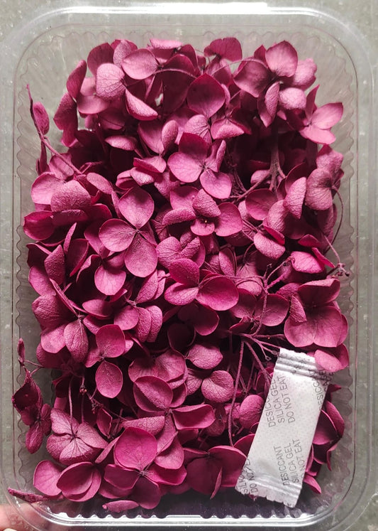 Hydra Dark  Pink Dry Flower Box