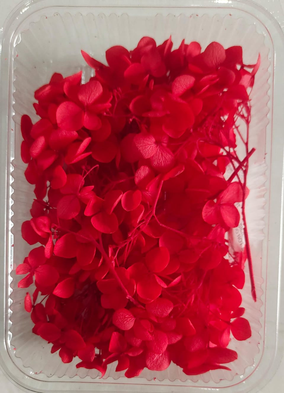 Hydra Red Dry Flower Box