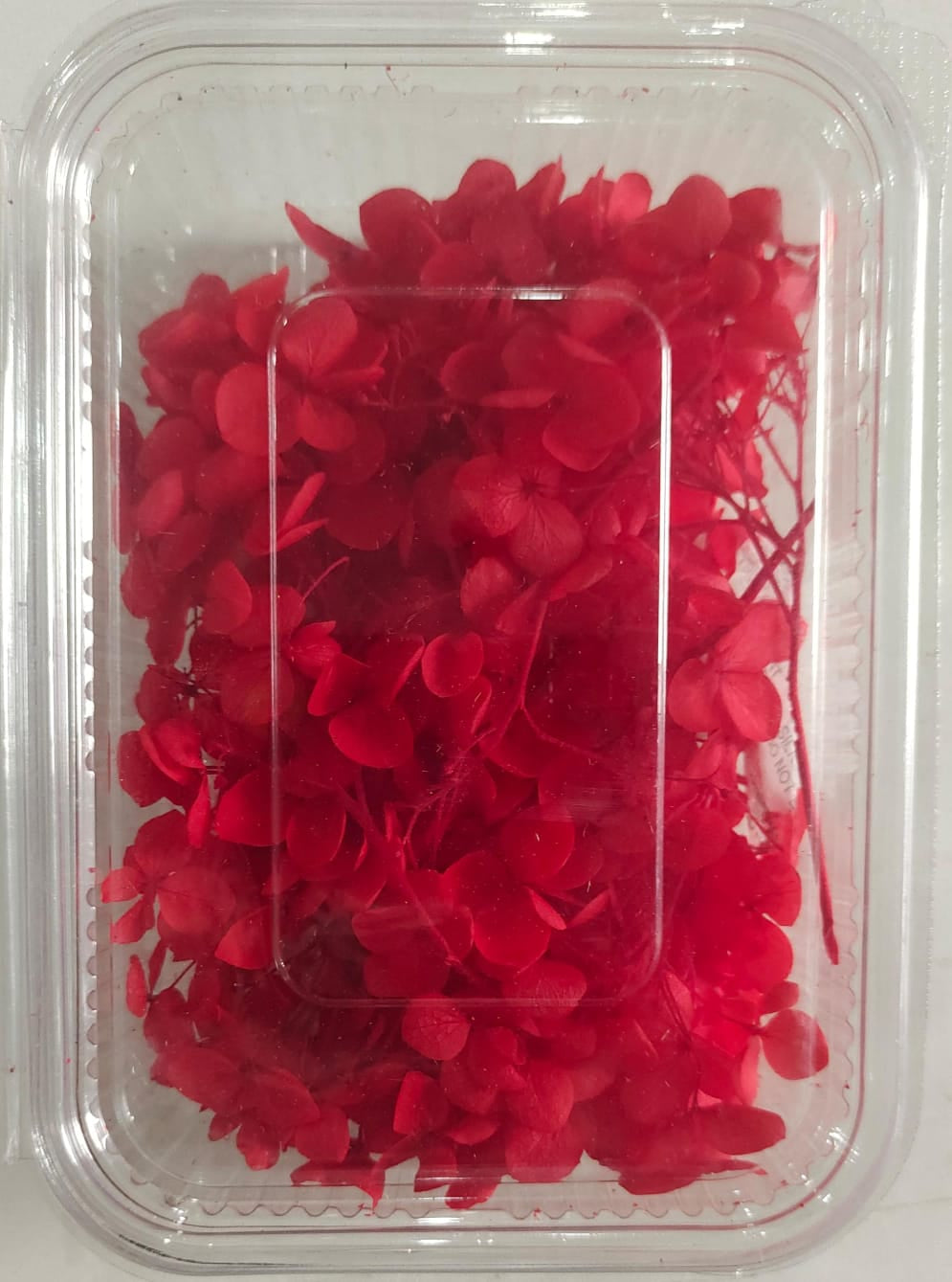 Hydra Red Dry Flower Box