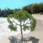 Tree_73