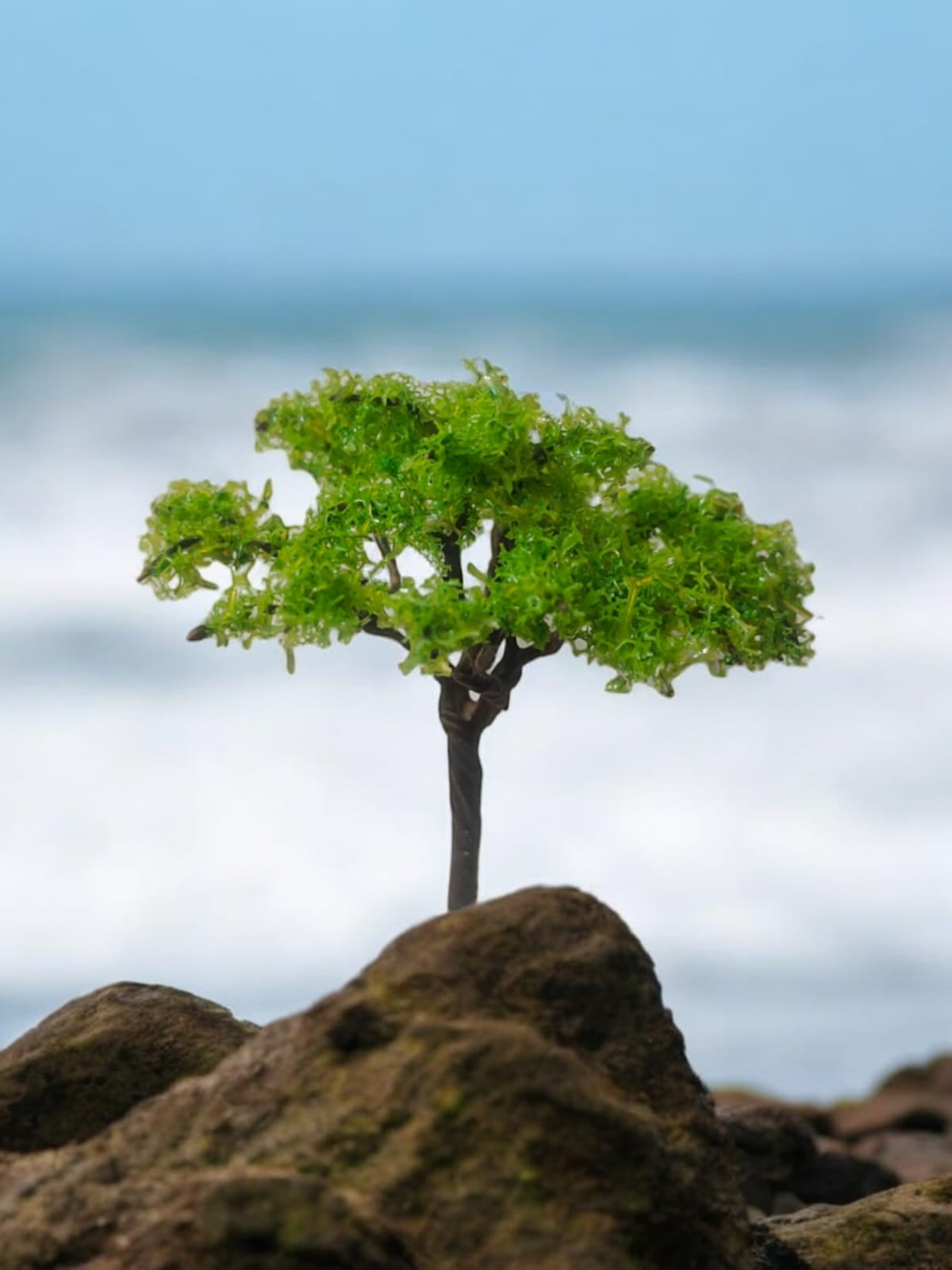 Tree_77