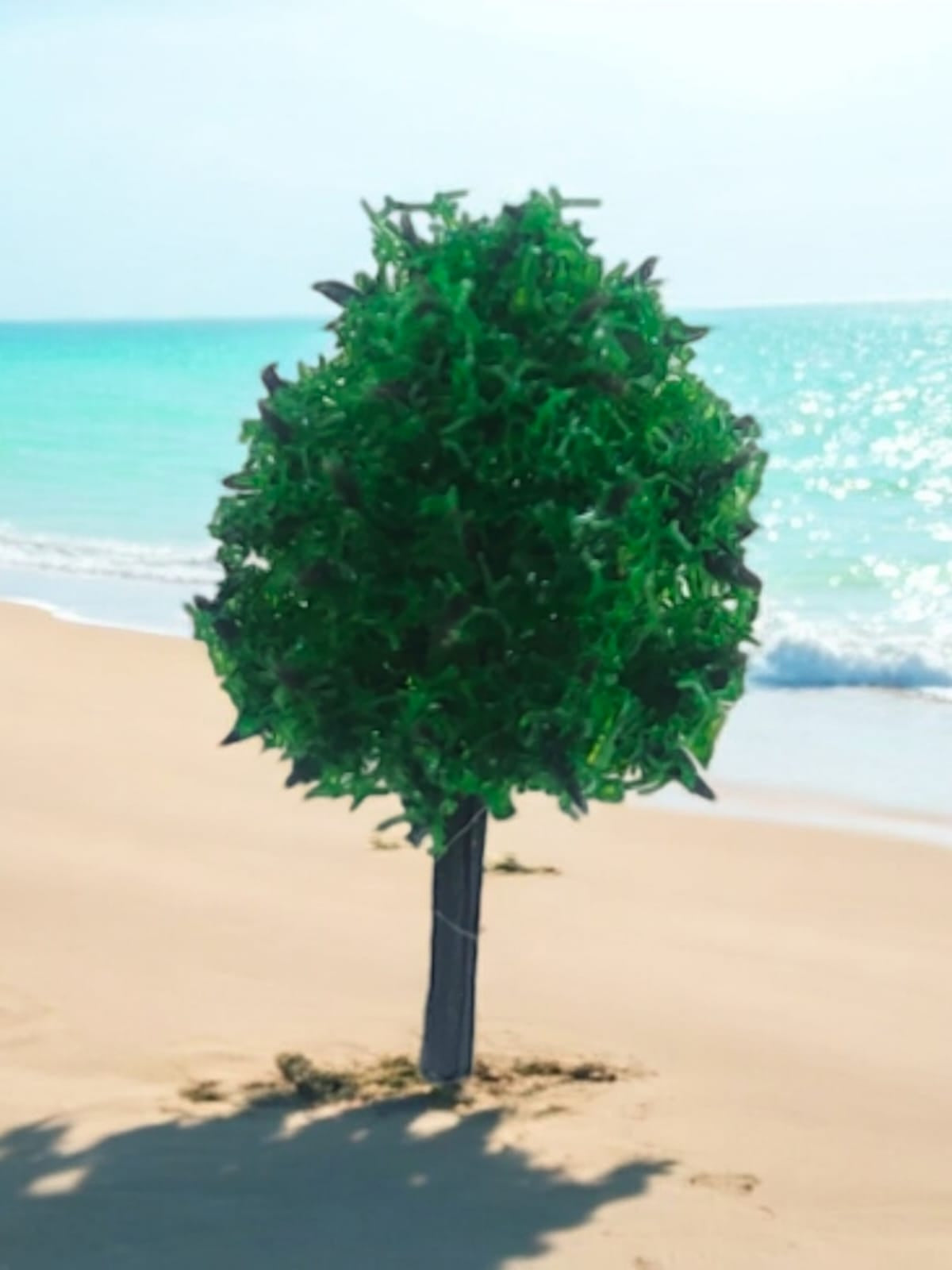 Tree_84
