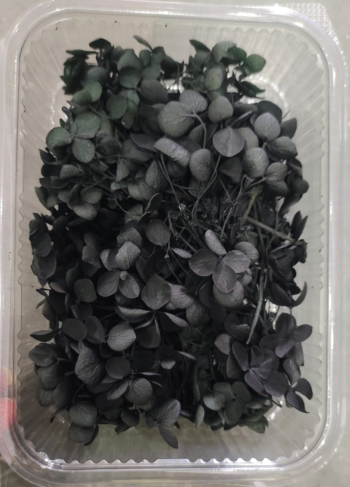 Hydra Black Dry Flower Box