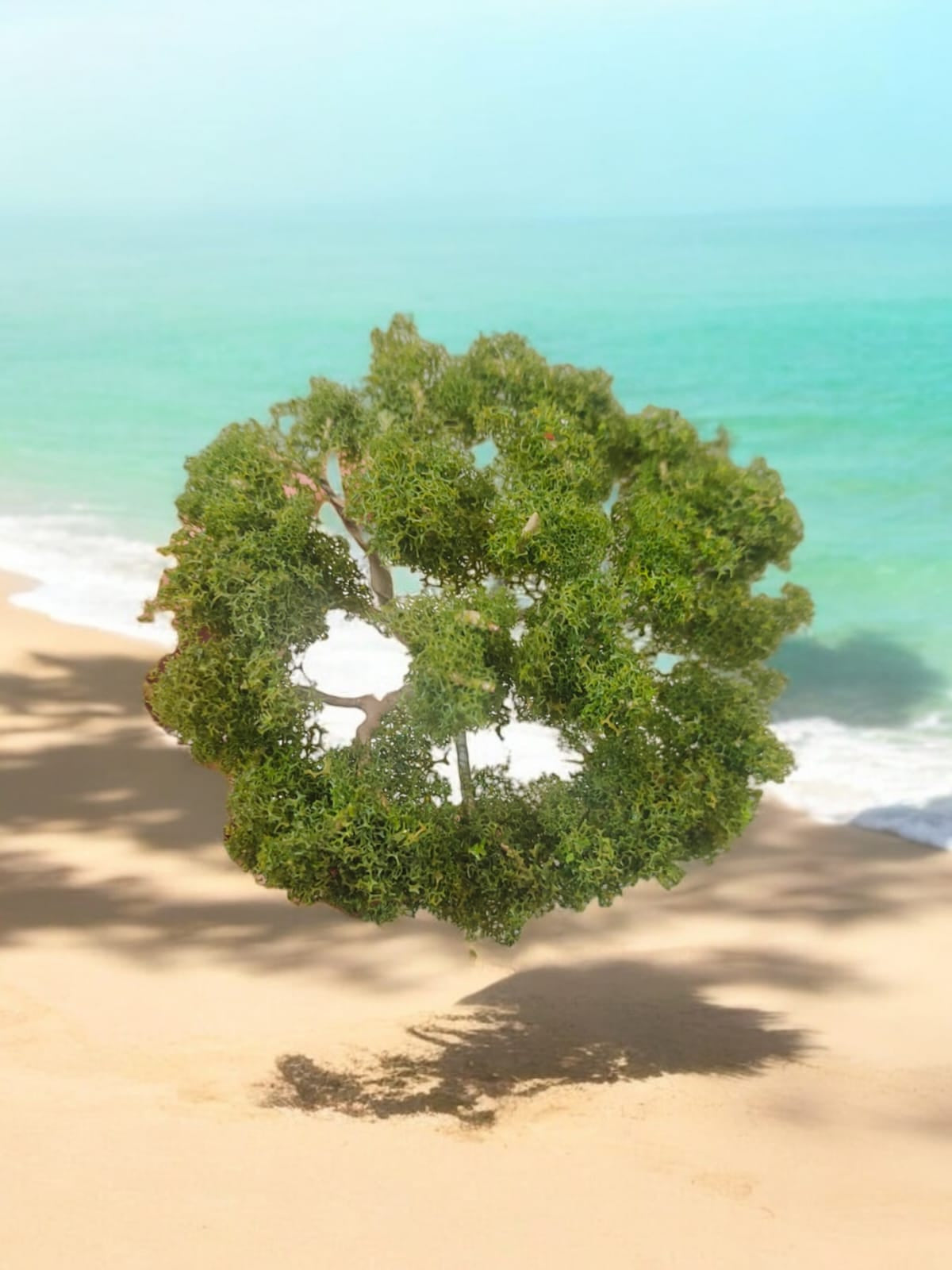 Round tree Big Dark Green