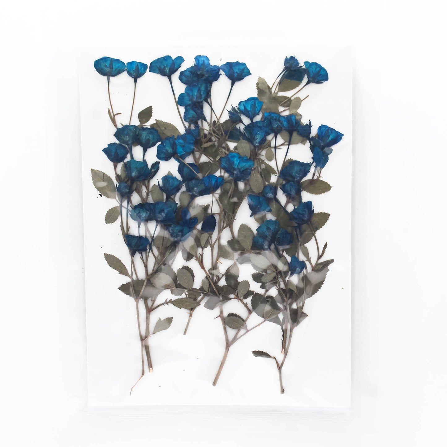 Mini Pressed Roses_05