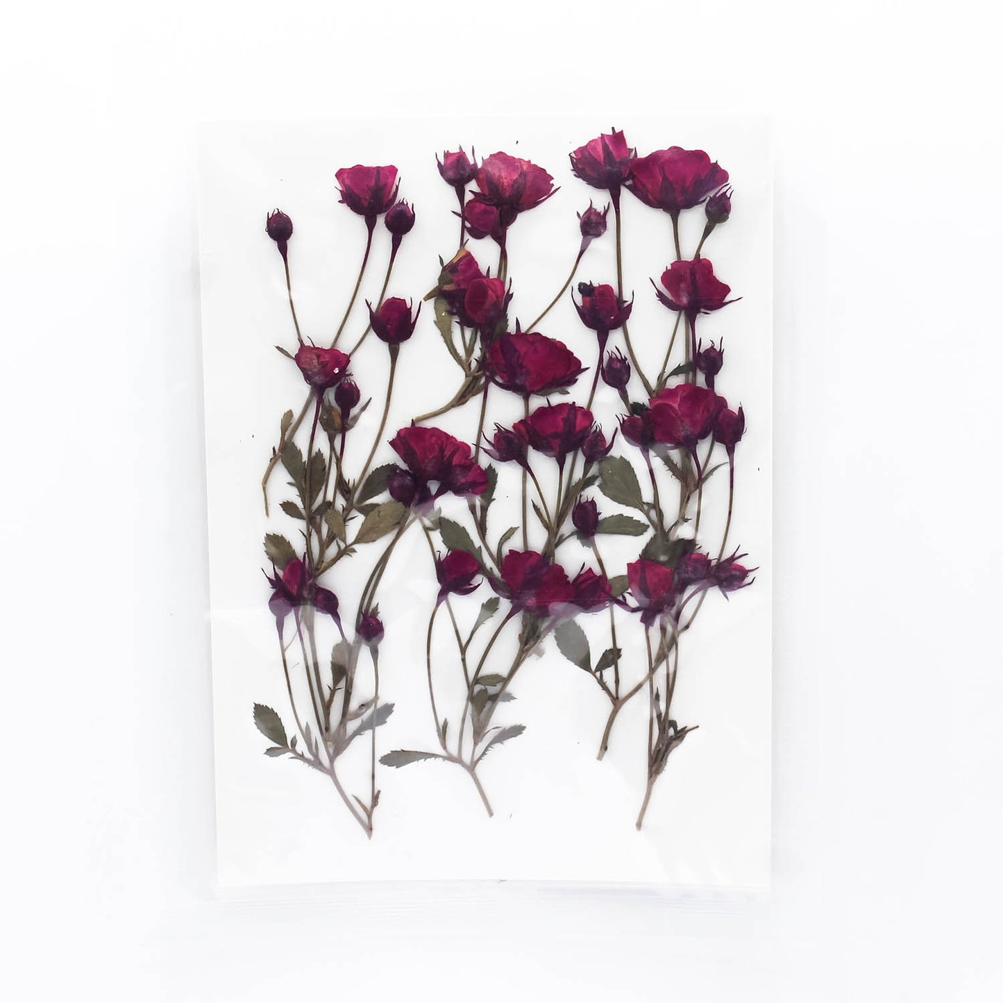 Mini Pressed Roses_09