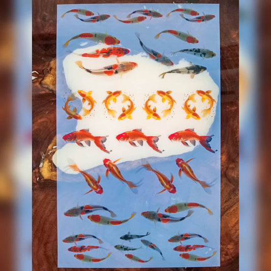 Insert Sheet - Koimoi Fish_02