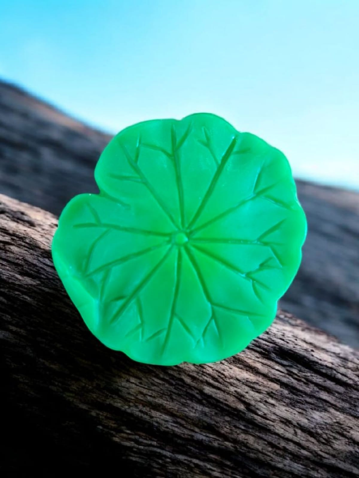 Medium Leaf's