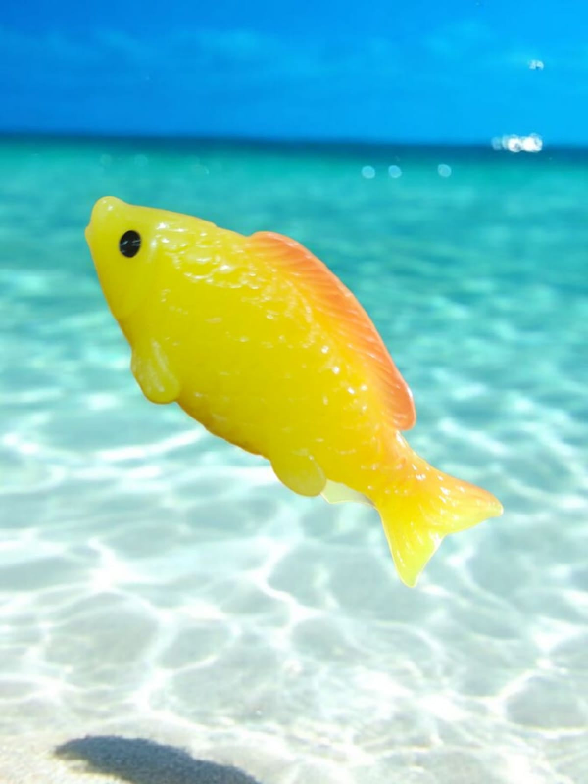 Animated Fish_02