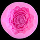 Peony  Flower candle Mould