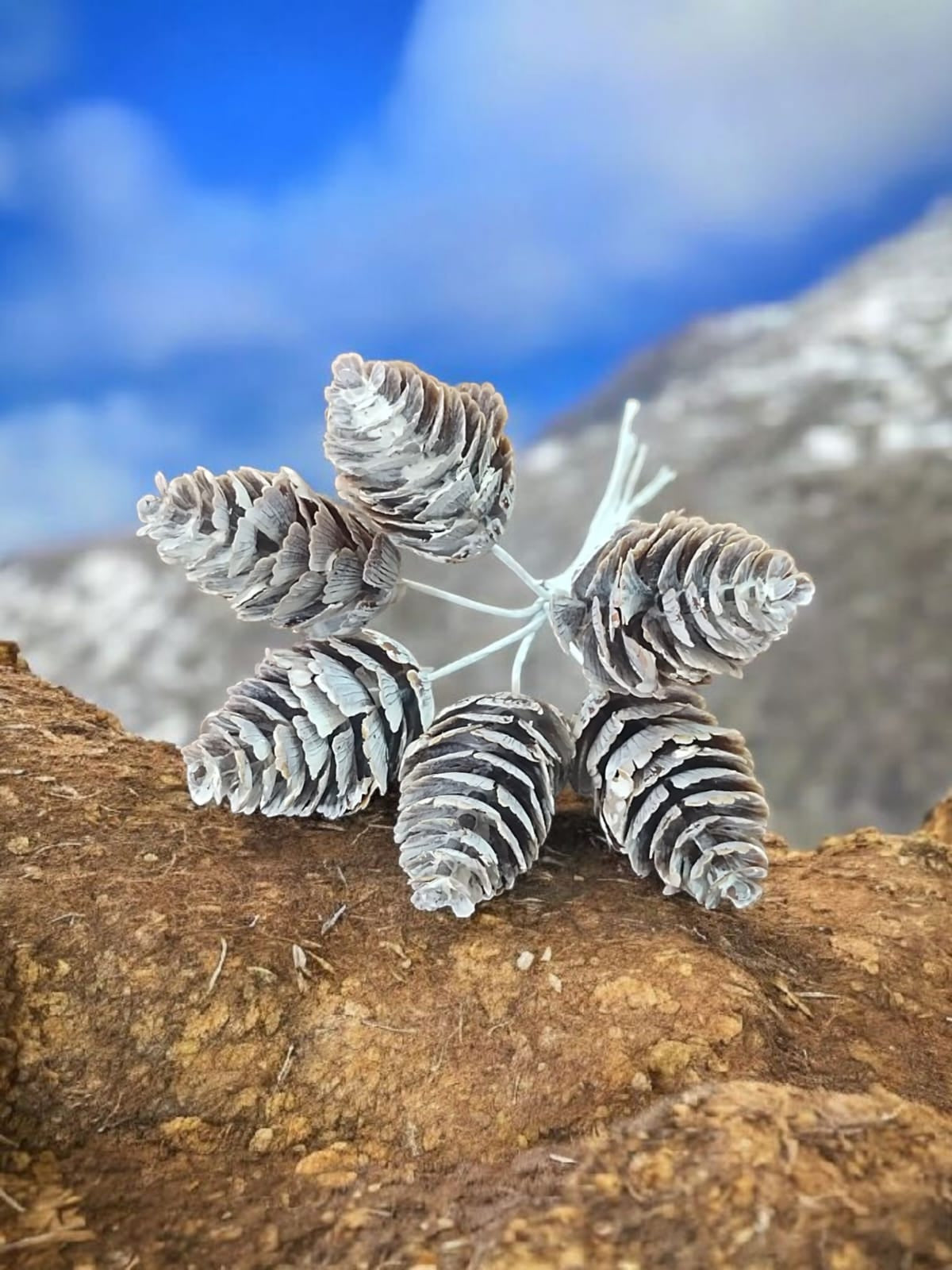 Small Flower Bunch_04