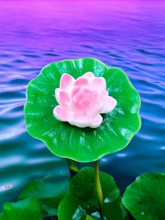 Big Lotus with big Leafe