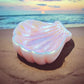 Colorful  Shell