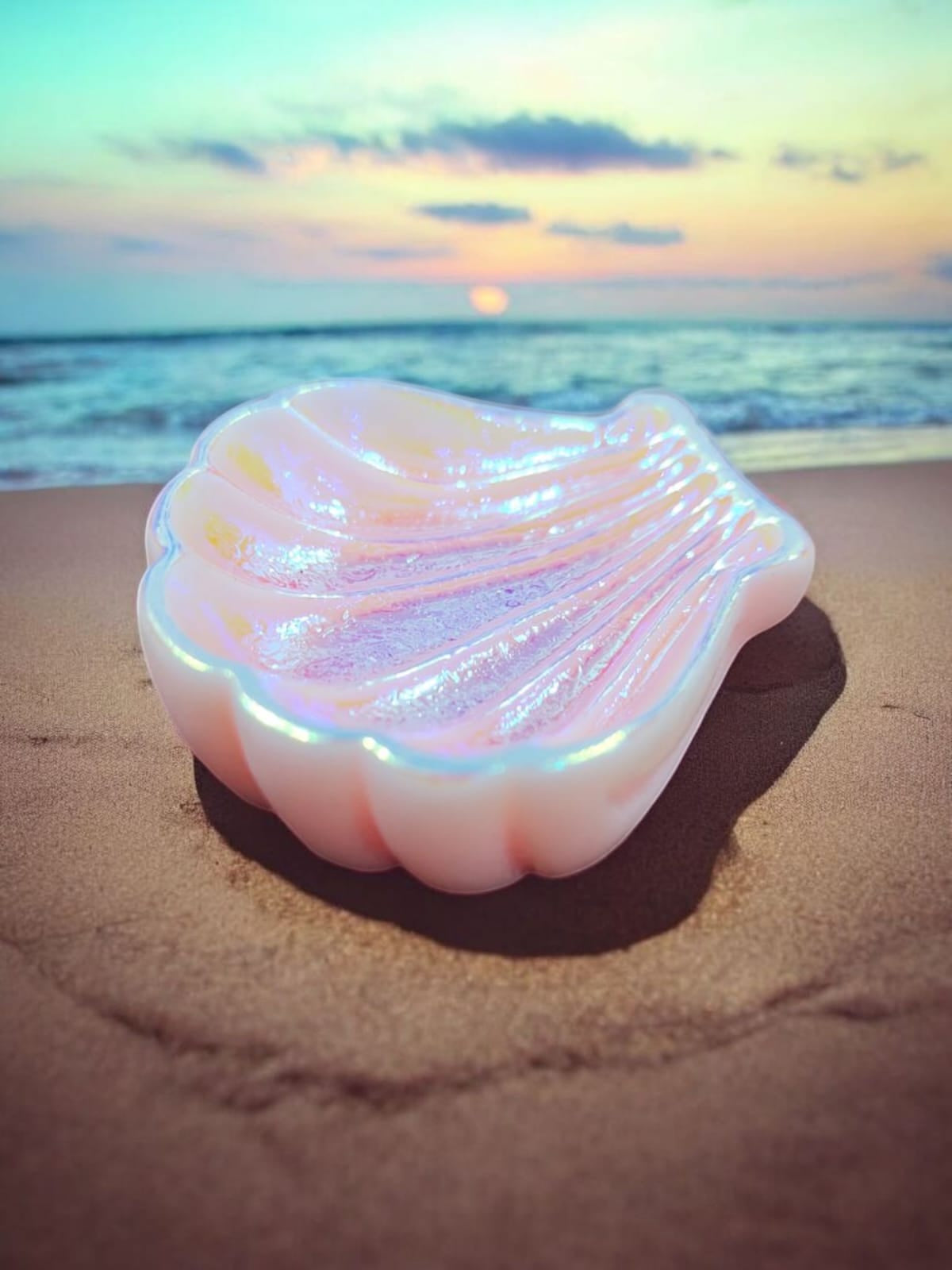 Colorful  Shell