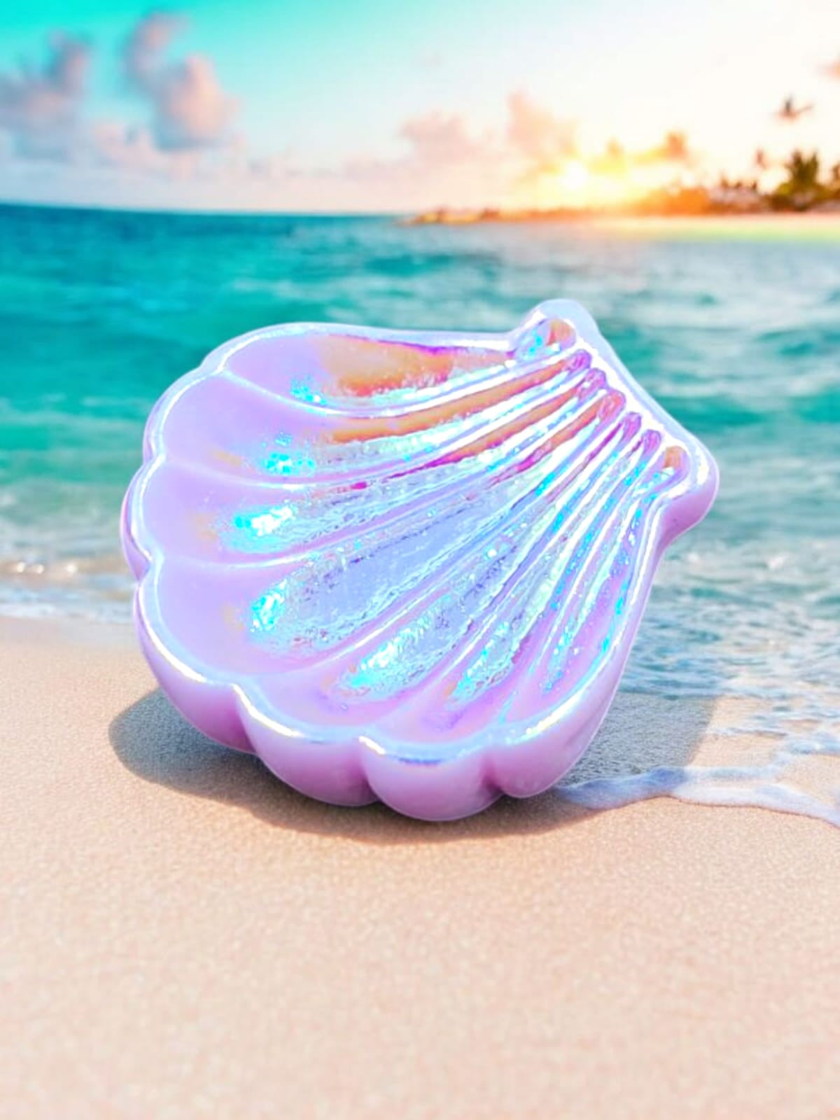 Colorful  Shell