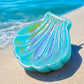 Colorful  Shell