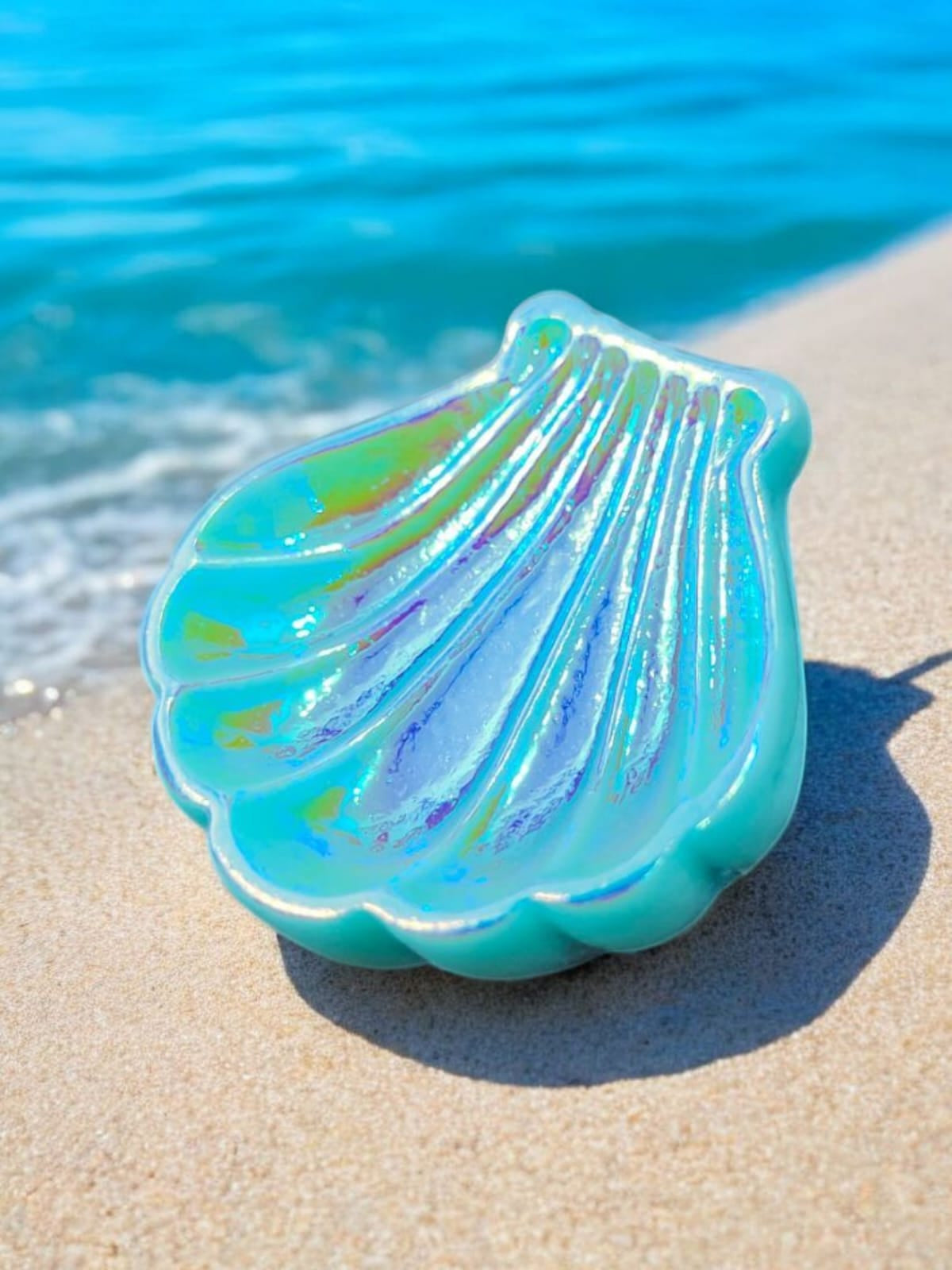 Colorful  Shell