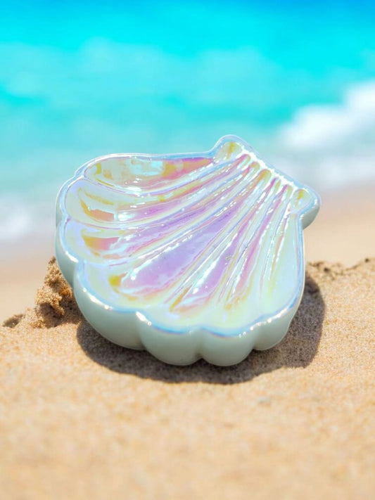 Colorful  Shell