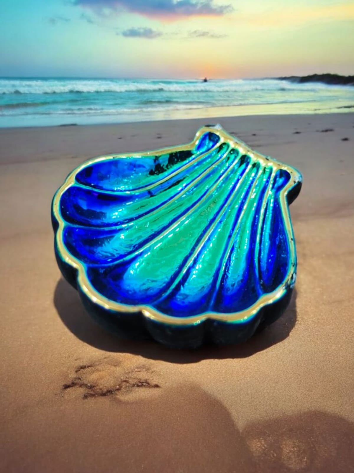 Colorful  Shell