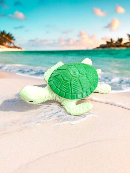 Mini Turtle