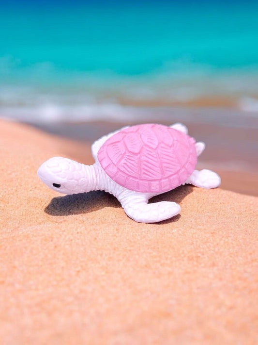 Mini Turtle