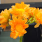Artificial Flower Bunch_15