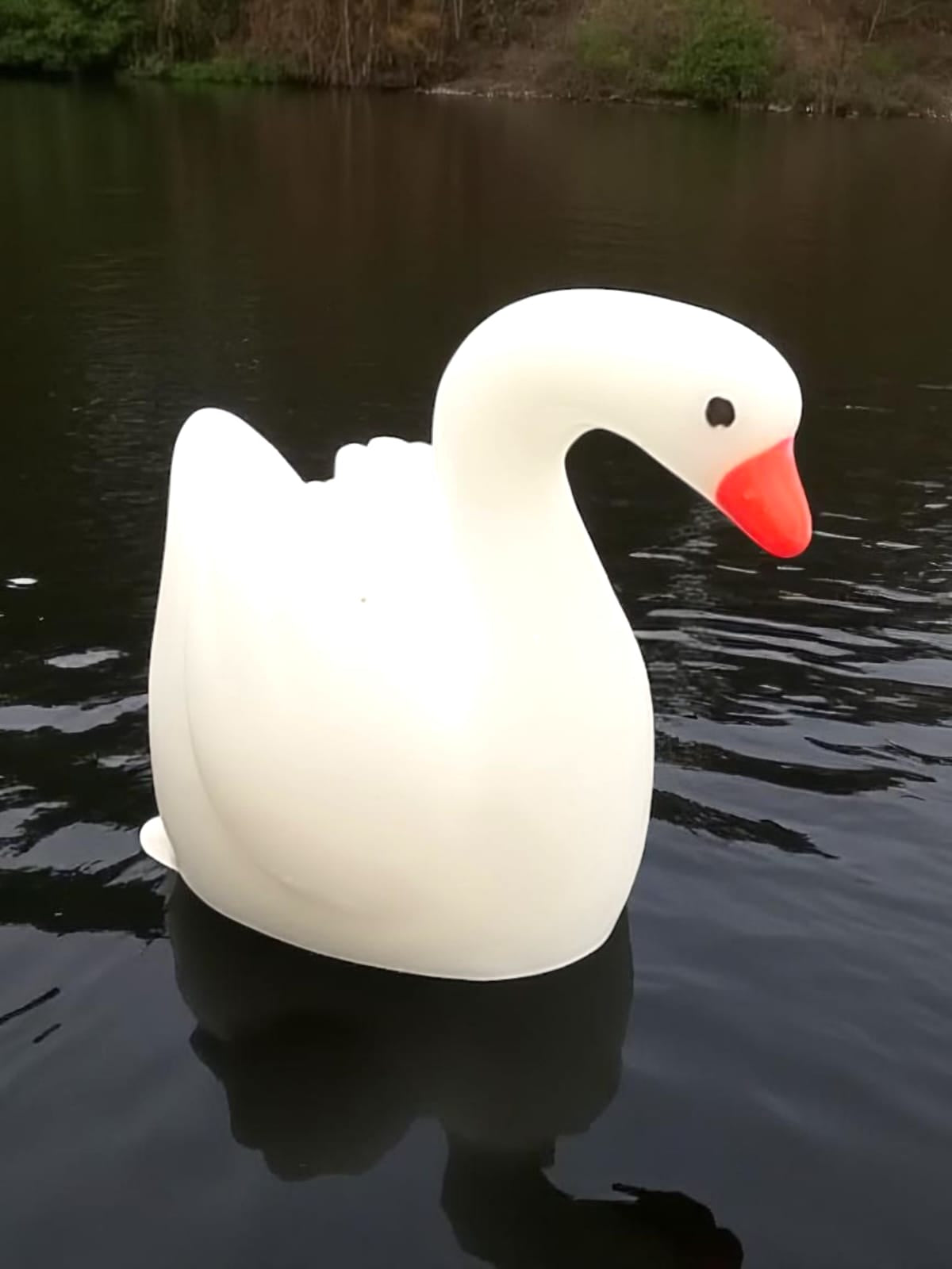 Mini Swan