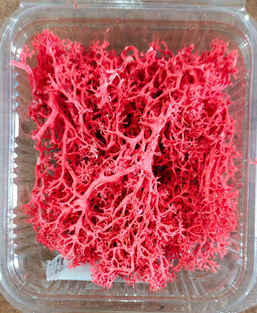 Moss Grass Red