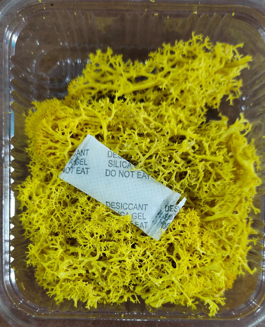 Moss Grass Yellow