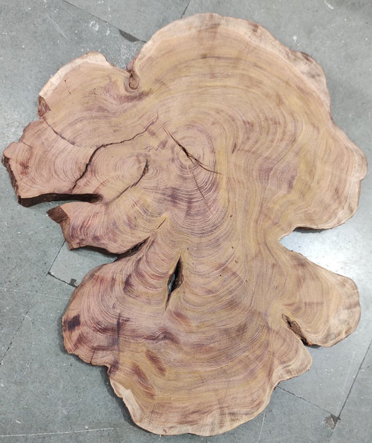 Centre wood Cookie_04